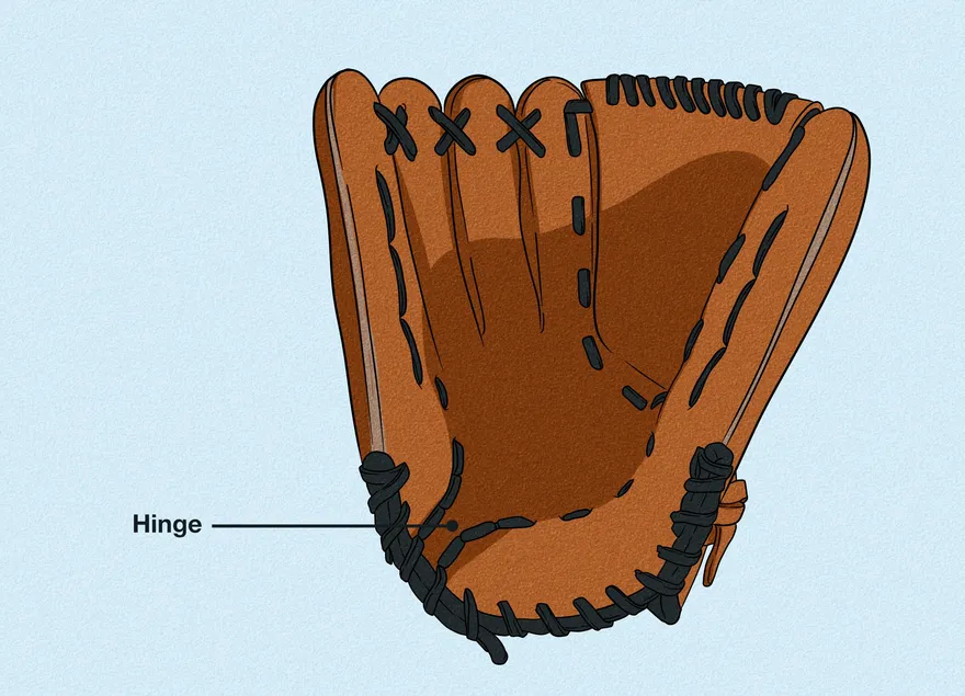 Как измерить бейсбольную перчатку: Позиции, таблицы размеров и многое другое