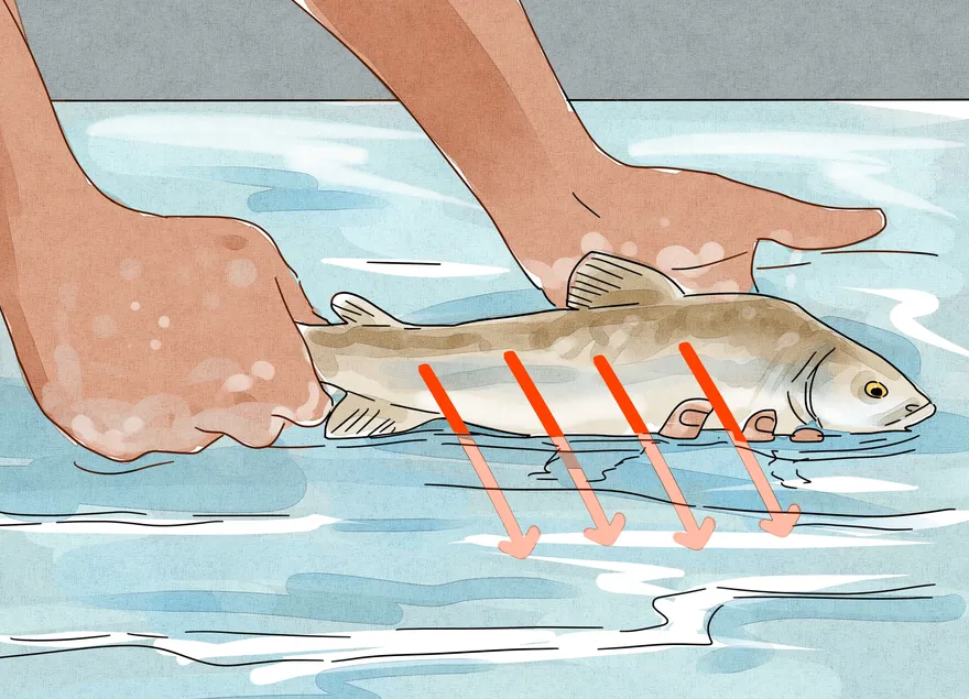 Как отцепить рыбу