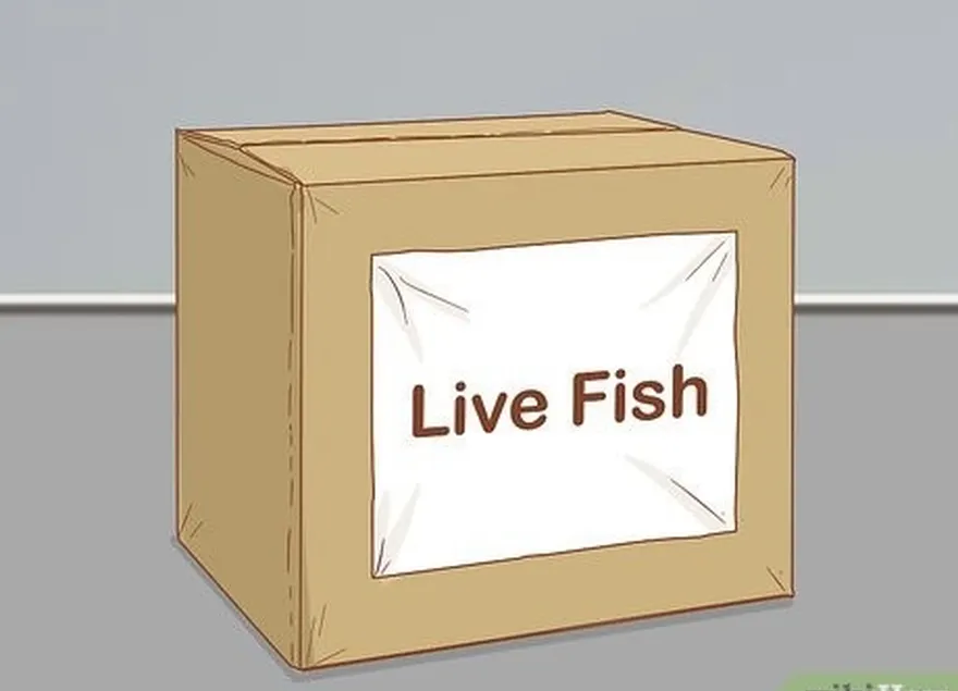 шаг 4 добавьте этикетки, например fragile, live fish, and this side up to the box.