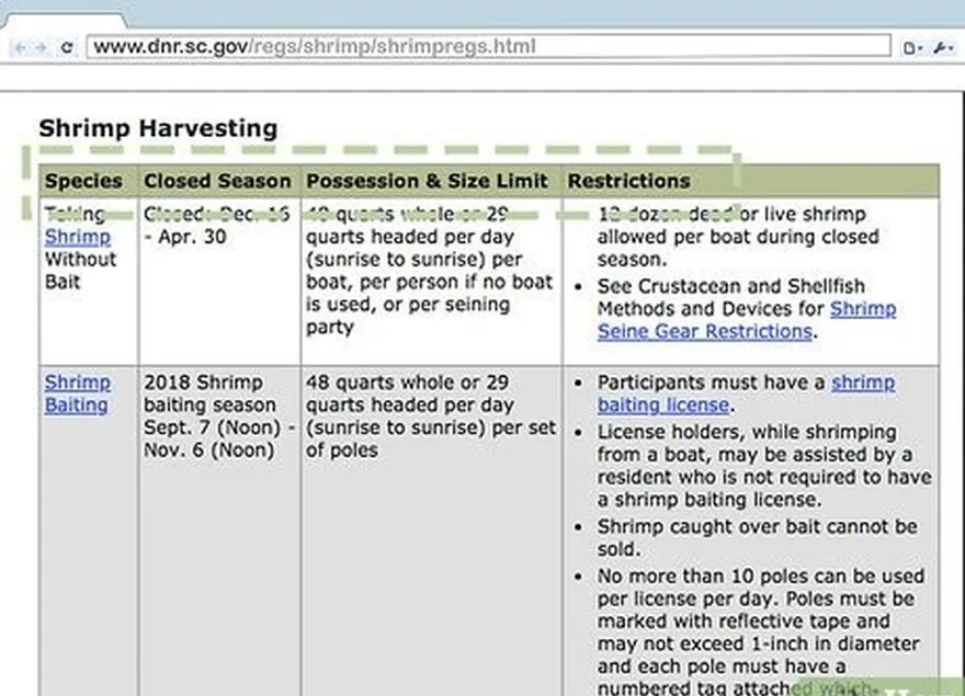 шаг 3 изучите информацию о своем штате в интернете's shrimp catching regulations.