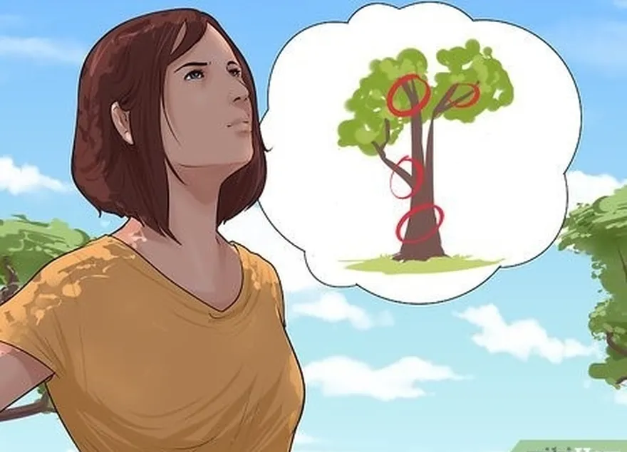 шаг 3 после того как вы've selected your tree, inspect it carefully.