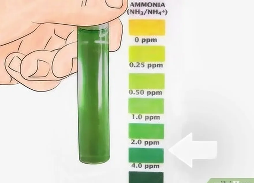 шаг 4 старайтесь поддерживать уровень аммиака на уровне около трех частей на миллион.