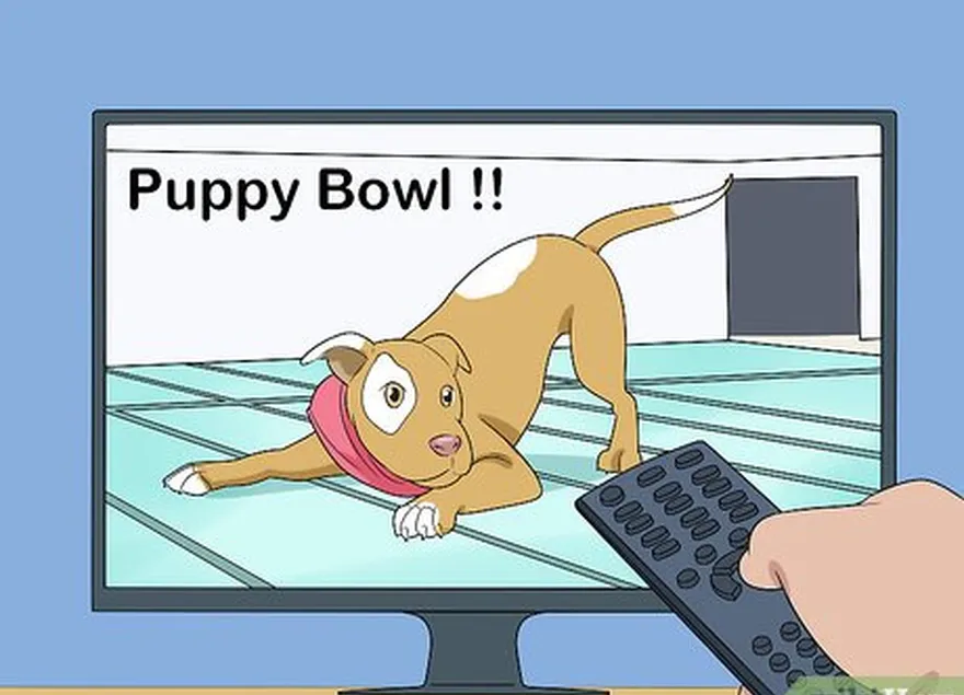 шаг 6 настройтесь на puppy bowl перед началом игры.