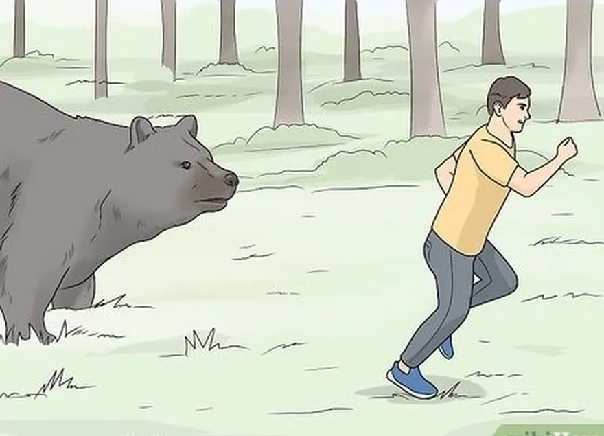 шаг 6 бегите, если're attacked by a black bear.