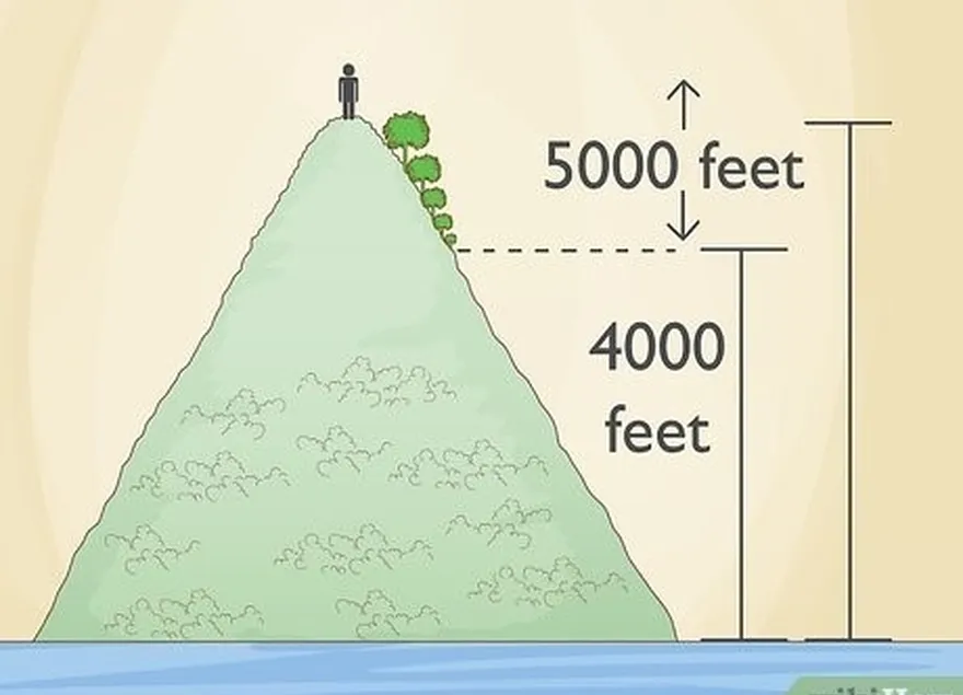 шаг 3 опасайтесь ядовитого сумаха, если вы're at a low elevation.