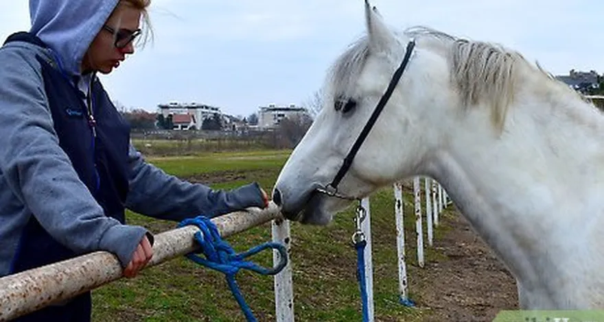 шаг 4 избегайте использования 'шоссейника's hitch knot for climbing purposes.