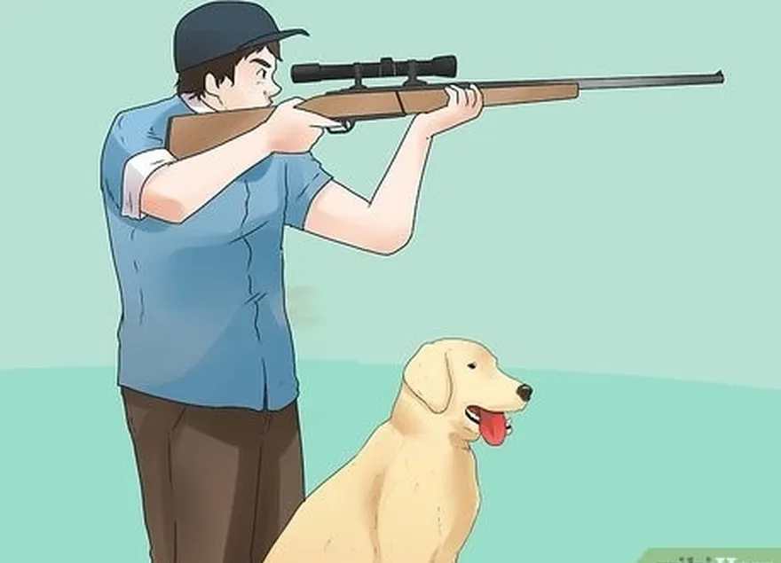 шаг 8 прежде чем выводить собаку в поле, ознакомьте ее с реальными ситуациями на охоте.