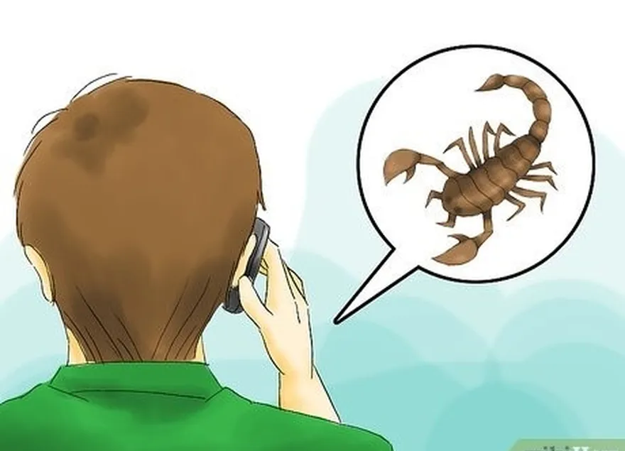 шаг 4 опишите скорпиона медицинской помощи по телефону.